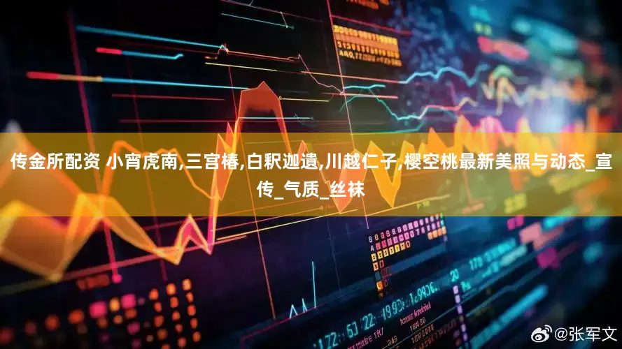 传金所配资 小宵虎南,三宫椿,白釈迦遺,川越仁子,樱空桃最新美照与动态_宣传_气质_丝袜